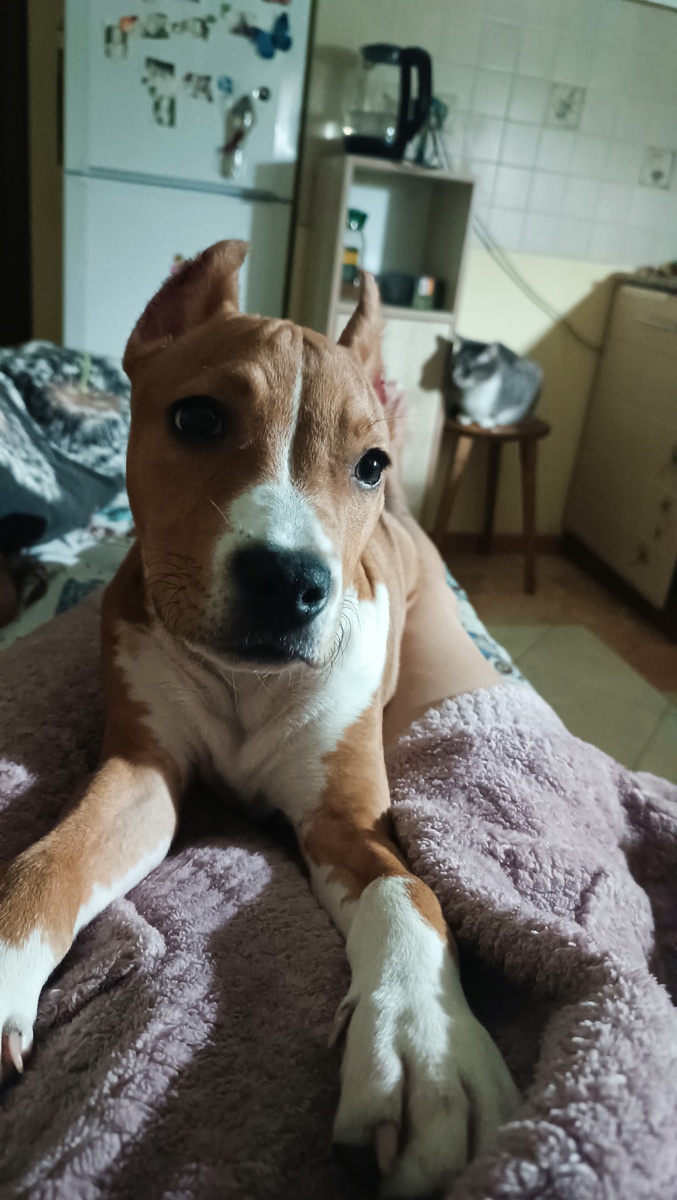 Обнимашки - это святое! 