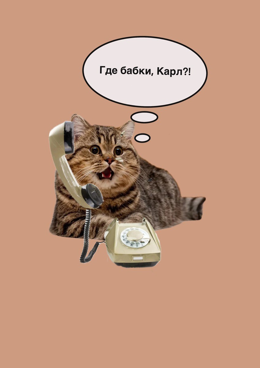 Картинка моя, идея моя. Котик как иллюстрация:)