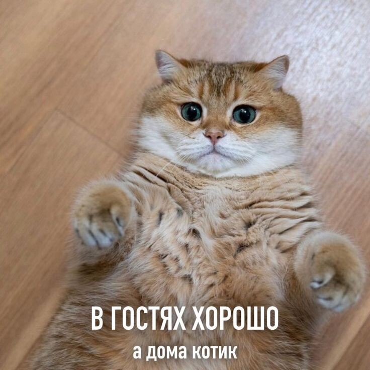 фото из интернета