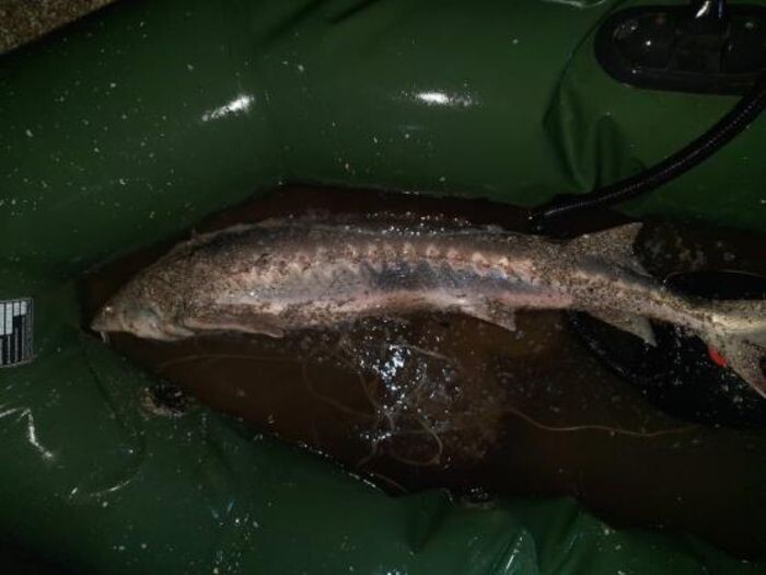 Иллюстрация: телеграм-канал объединенногй пресс-службы судов Краснодарского края