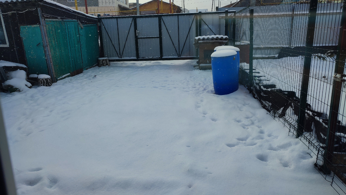 Сегодня весь день сыплет снежок