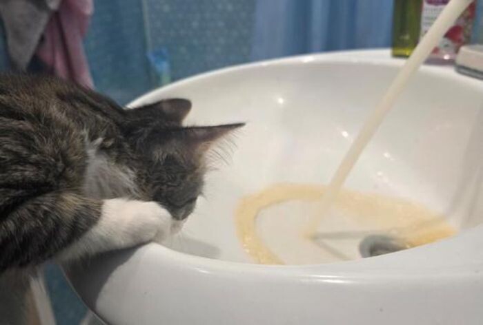 Иллюстрация: © «Панорама»