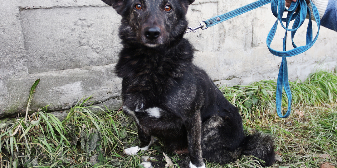 После ДТП он не может ходить. А теперь новая болезнь причиняет ему страдания..