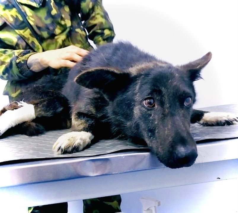 Травма была фатальной — перелом позвоночника.