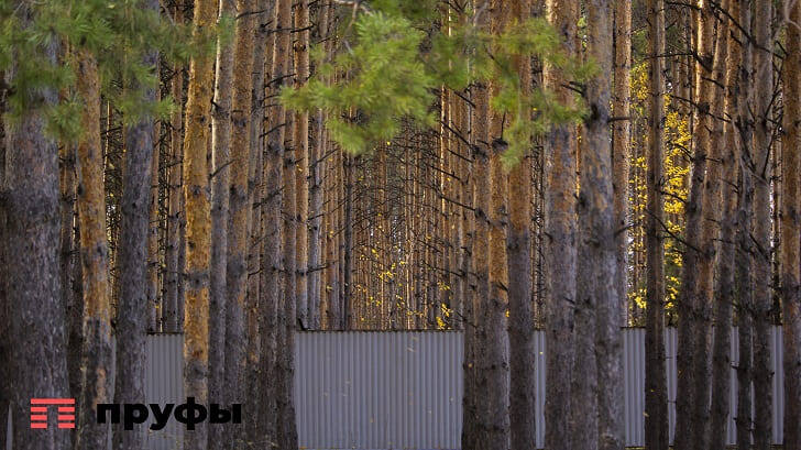    Вязовка. Пруфы