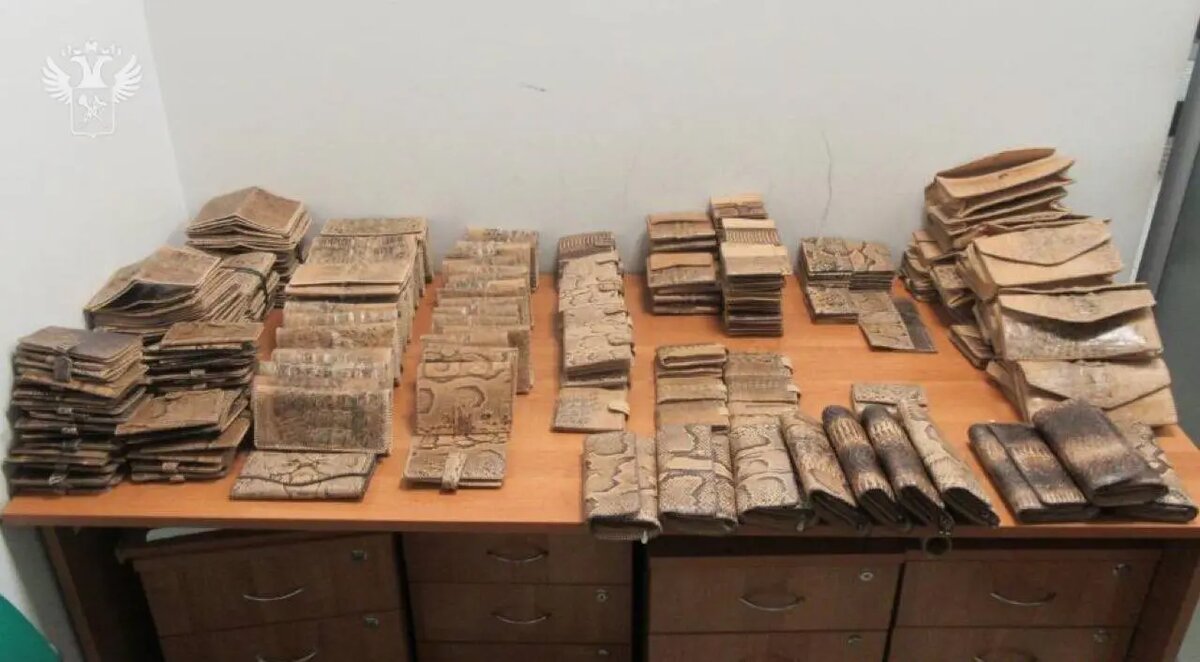    Фото: пресс-служба ФТС России