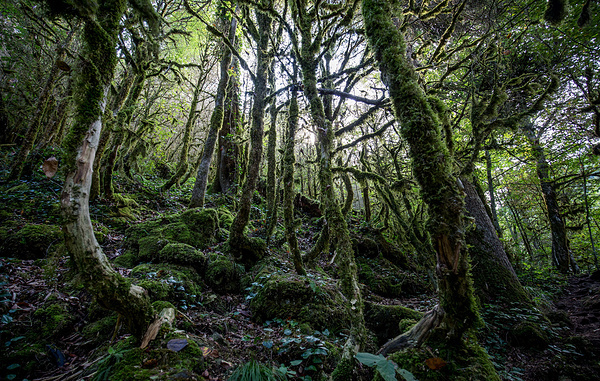 Виталий Тимкив/ТАСС