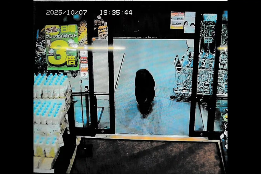    Медведь у супермаркета в Японии    
Фото: Gunma Prefectural Police