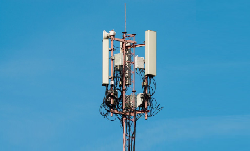    Фото предоставлены администрацией Октябрьского района РО Марина Ецкова