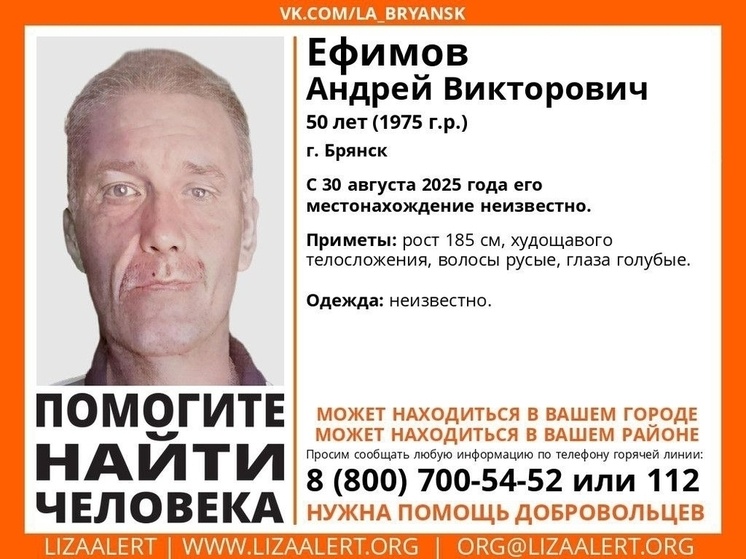     фото: поисковый отряд "ЛизаАлерт" вконтакте