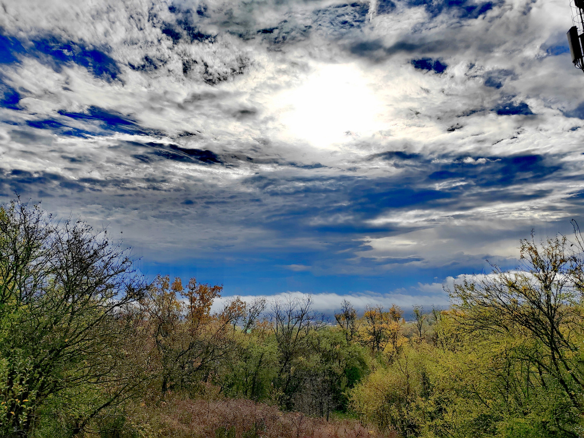 Пейзаж на въезде в станицу Саратовская со стороны трассы М4-Дон по дороге в Гуамку. Фото автора