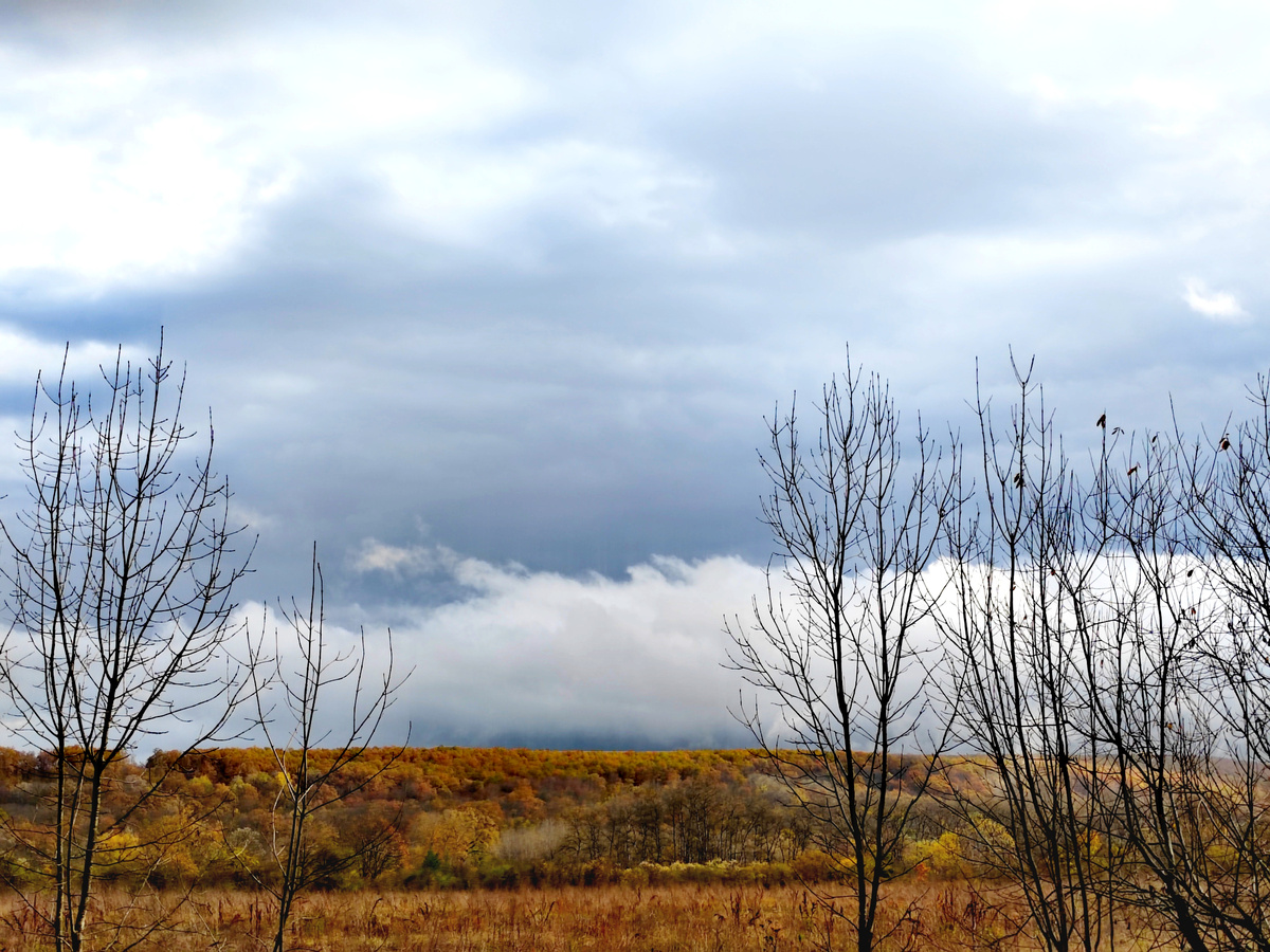 В окрестностях станицы Ширванская по дороге в Гуамку. Фото автора
