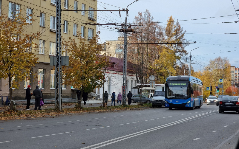    Ирина Яковлева
