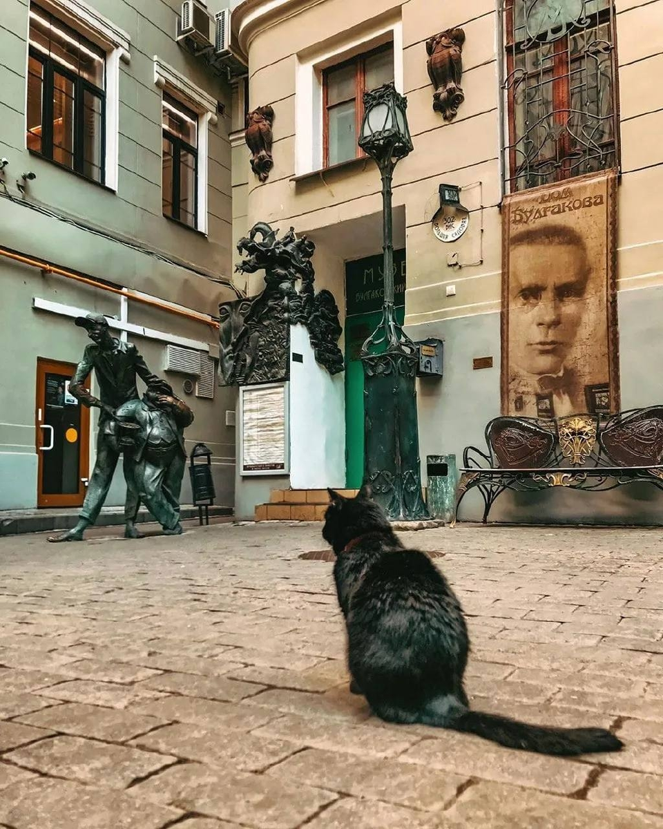 фото из открытых источников интернет