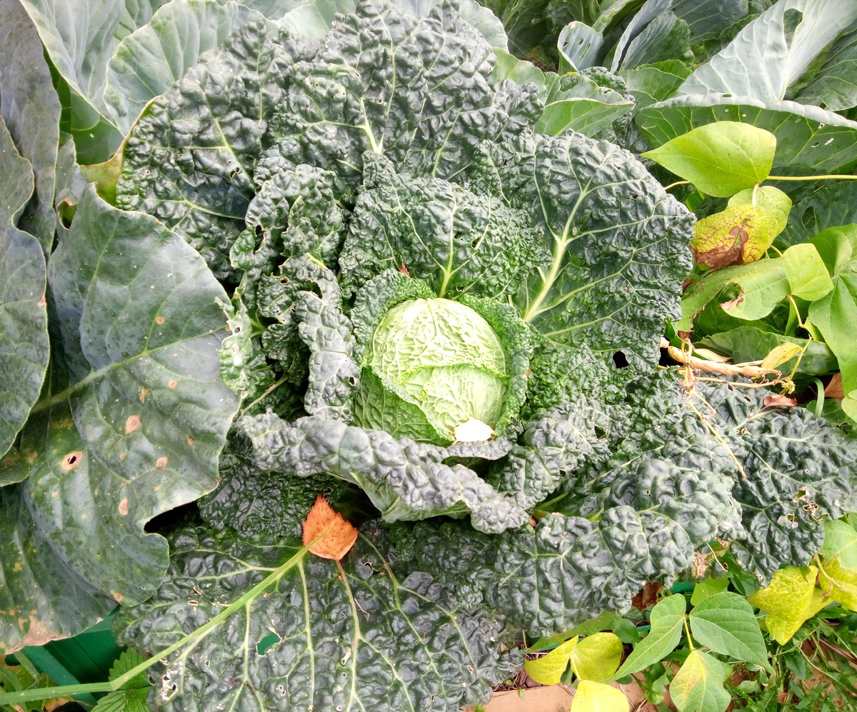 Сентябрь 2025. 