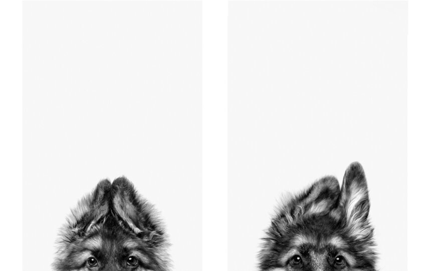    "Я весь внимание"