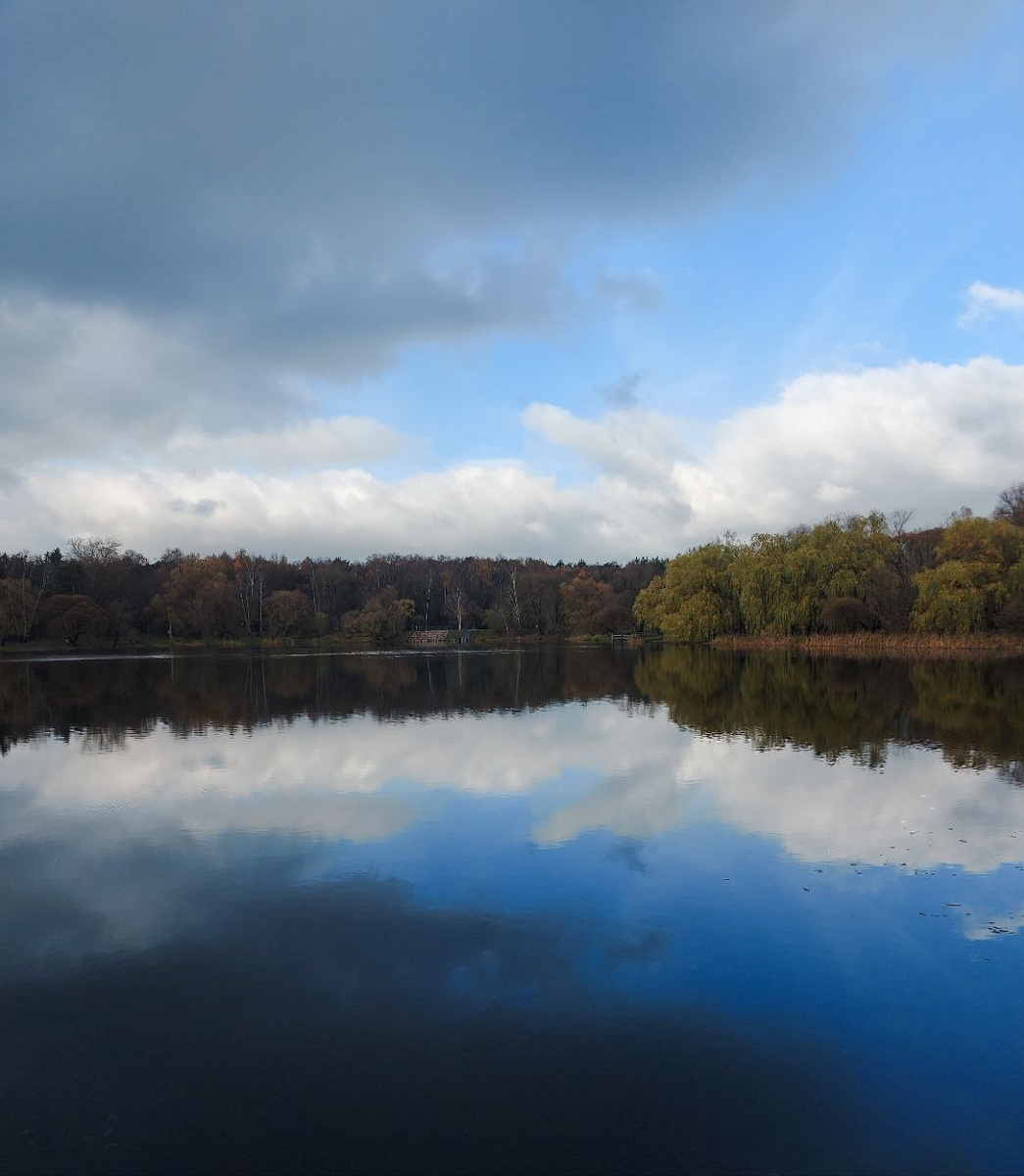 Фото автора. Парк Покровское-Стрешнево.