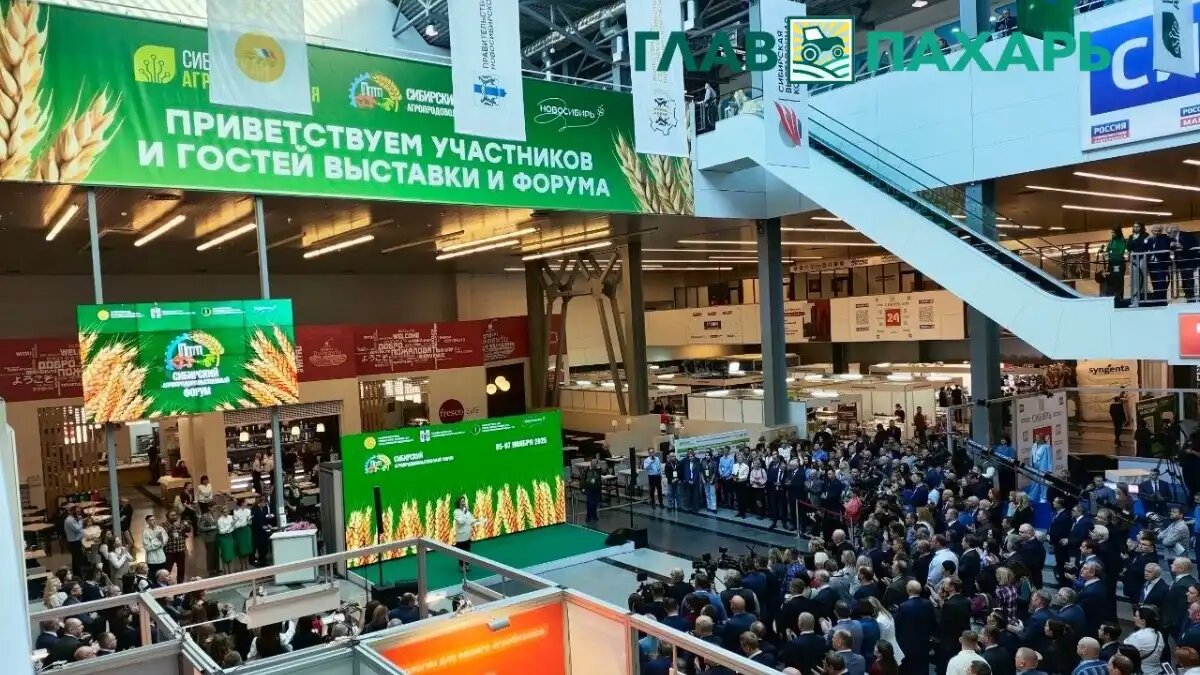 Фото: © Артём Борисов / Glavpahar.ru
Сибирская аграрная неделя 2025 в самом разгаре — фотоотчет