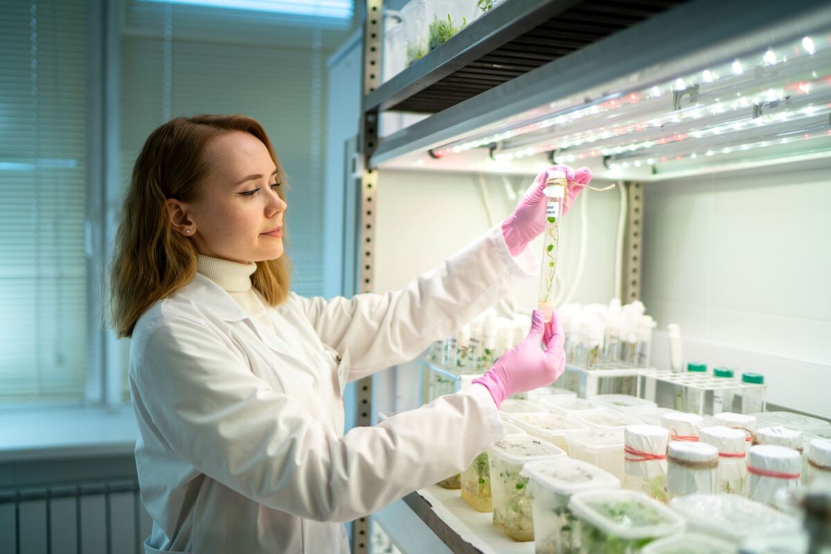 Фото: Александр Плонский / «Агроэксперт»