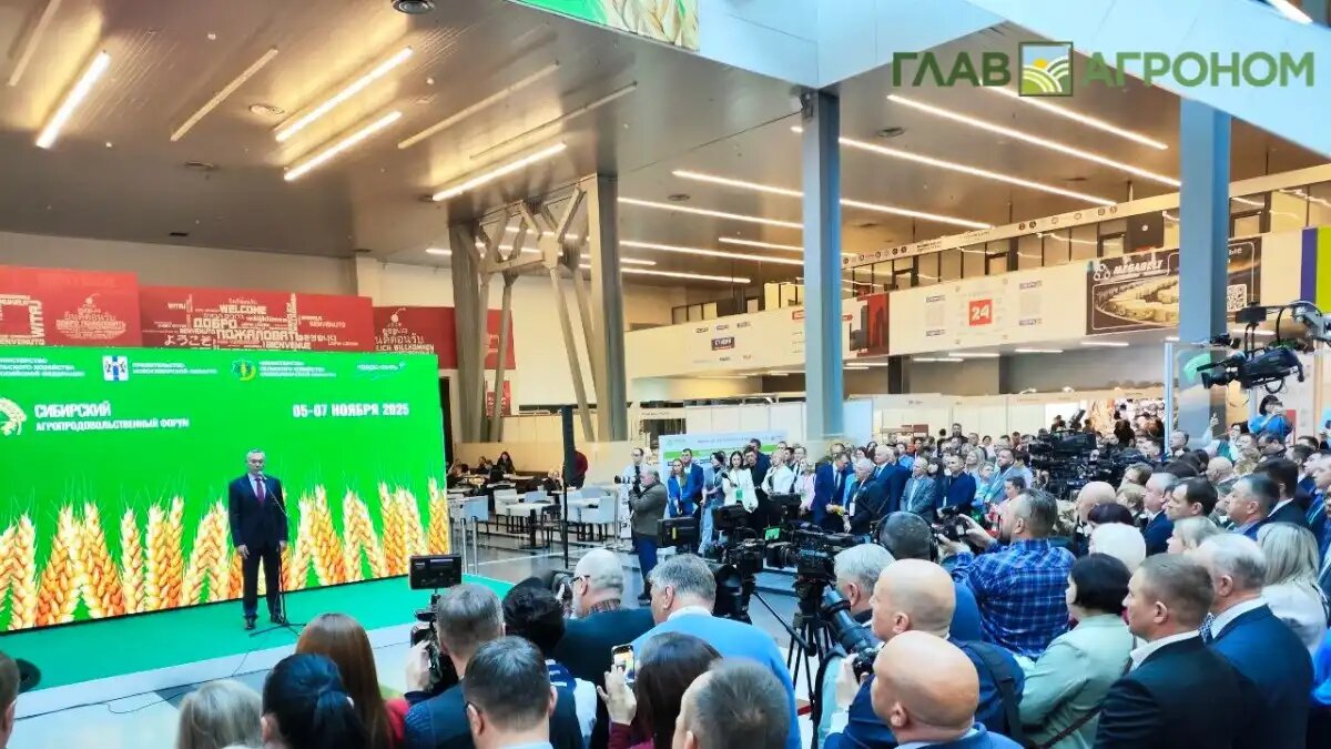 Фото:© Артем Борисов / Glavagronom.ru
Сибирская аграрная неделя собрала отечественных и зарубежных производителей, поставщиков, дистрибьюторов и аграриев из Сибири, Урала и Дальнего Востока