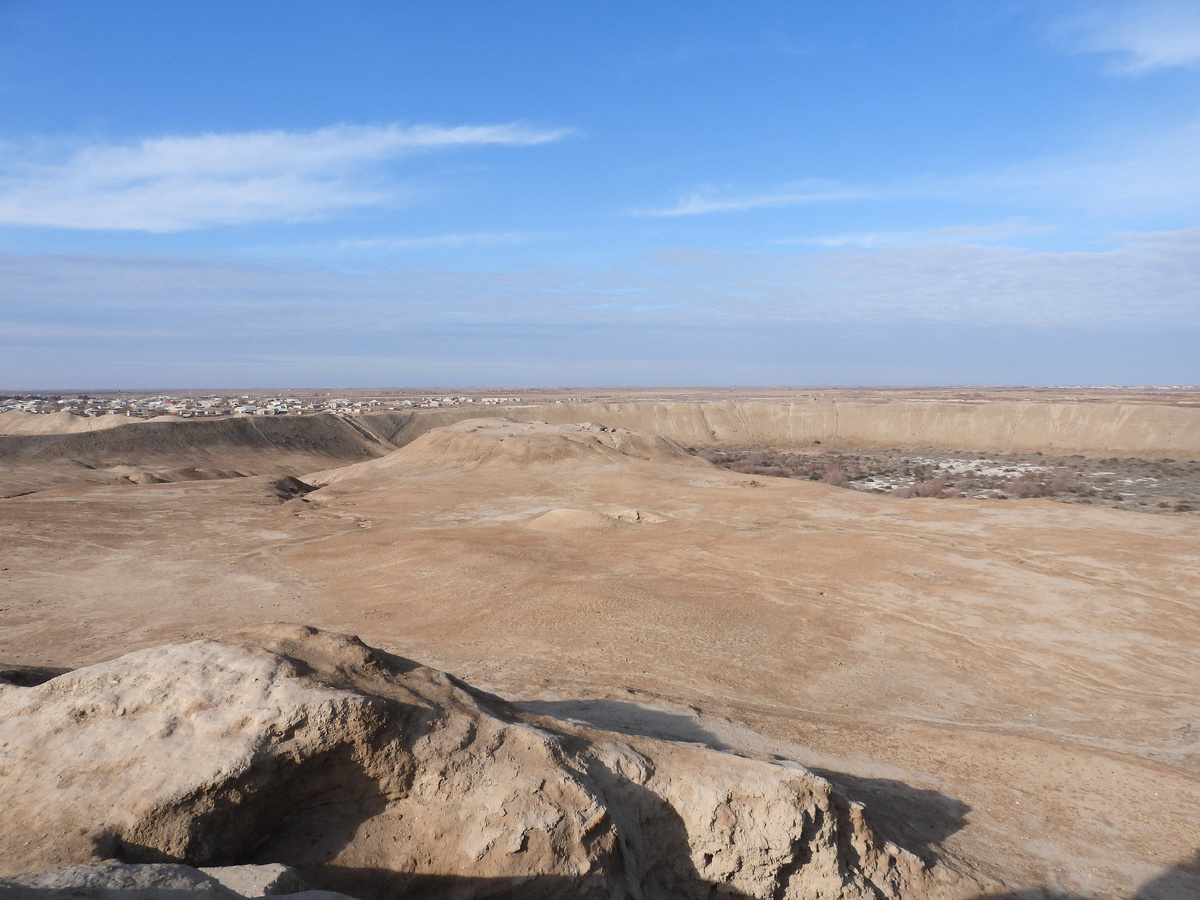 Но если бы пустыня была лишь безжизненной пустотой, она не привлекла бы столько внимания