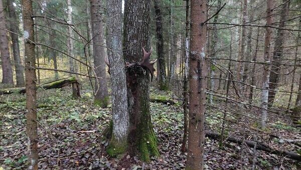    © Photo : Telegram / Следственный комитет Беларуси