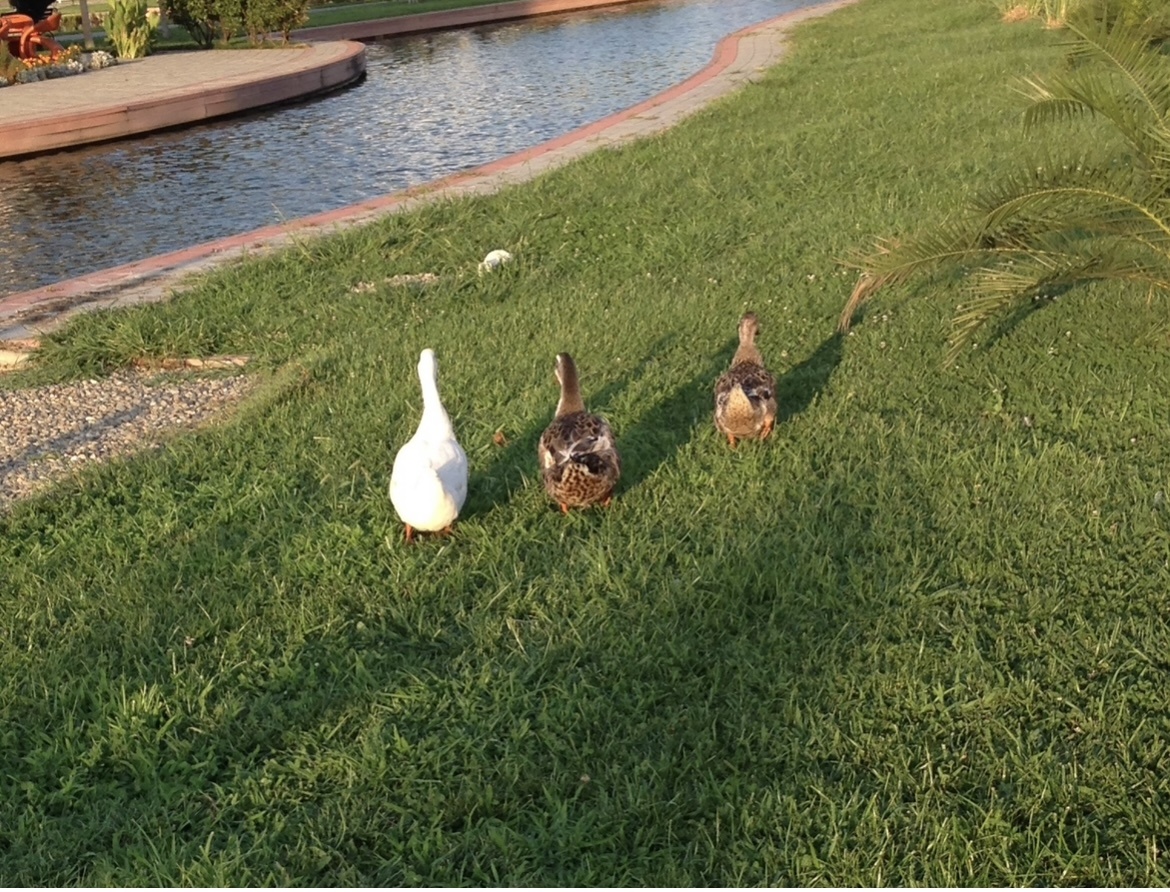 Фото из личного архива автора