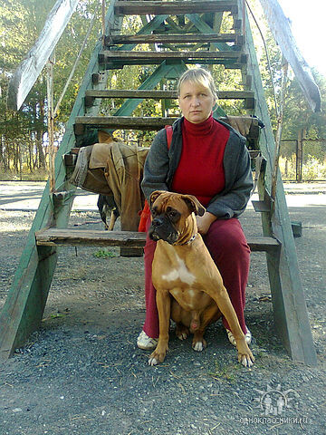 Три обеда Ская