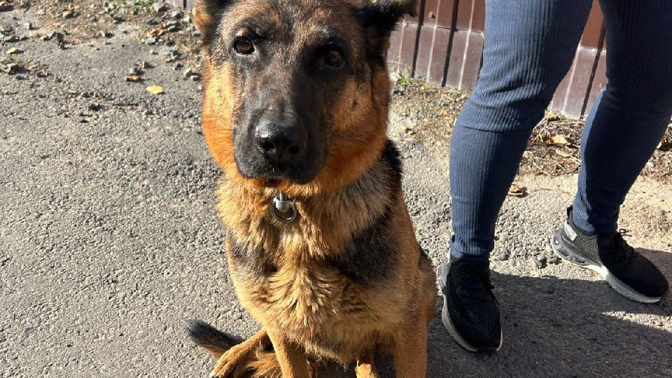 Прошу помощи