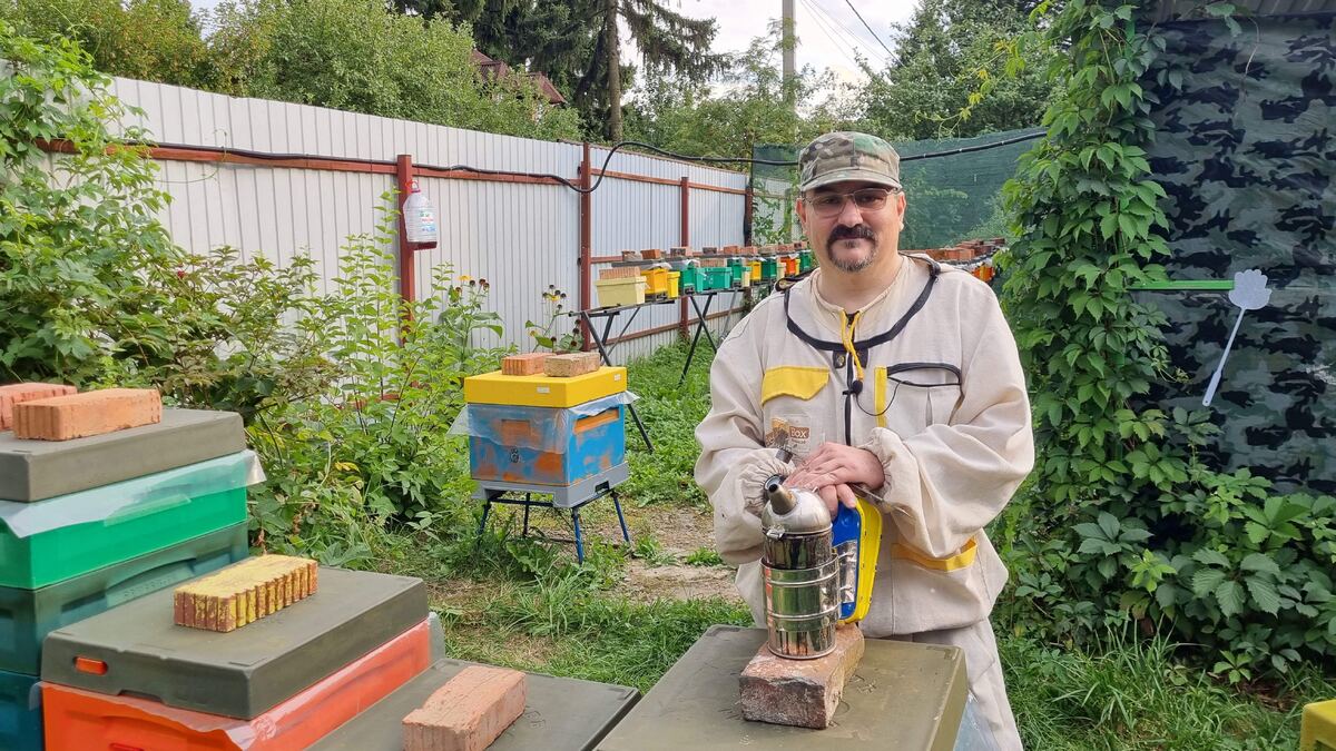 Добрые пчелы