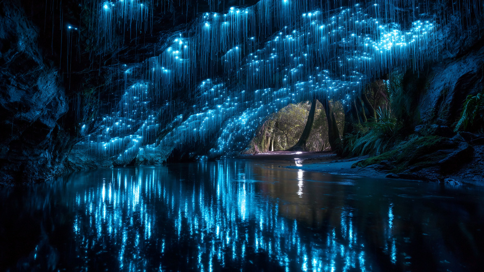 Фото: © РЕН ТВ 