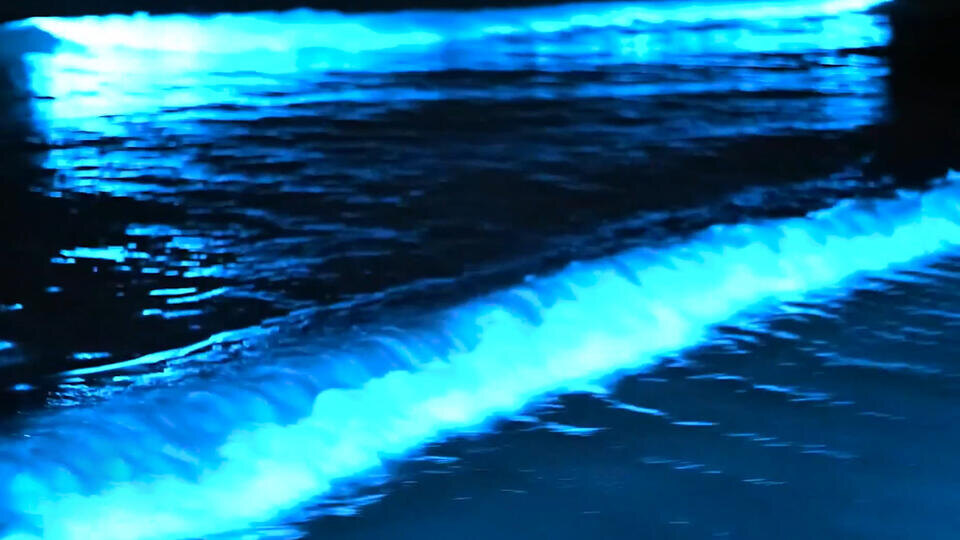 ФОТО: Кадр из программы "Невероятно интересные истории", РЕН ТВ