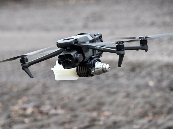    © РИА Новости Константин Михальчевский