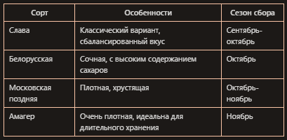 Отличные сорта капуста для квашения