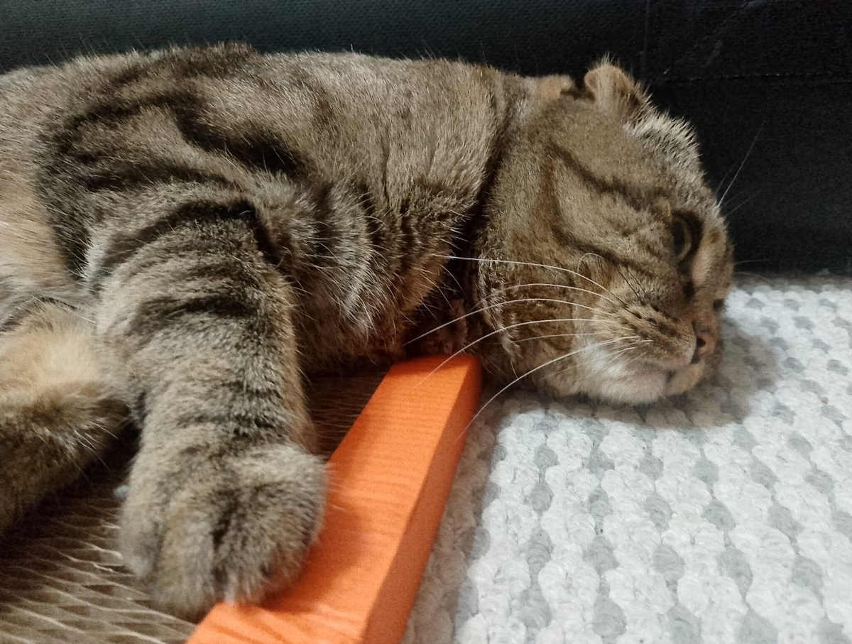 Грусть-тоска