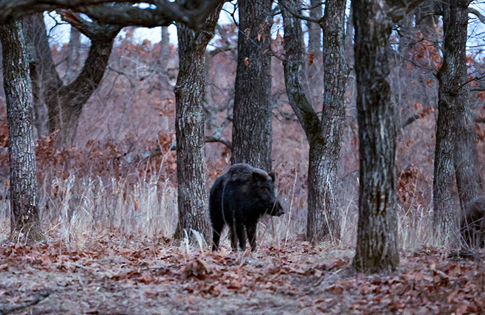    Юрий Смитюк/ТАСС