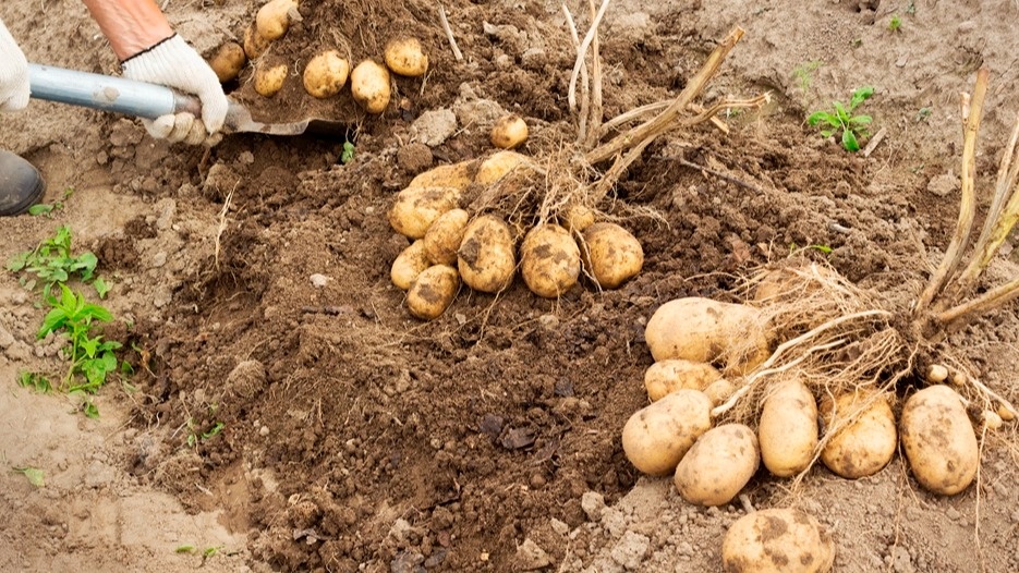 Вот такая разница получилась после применения осенней процедуры