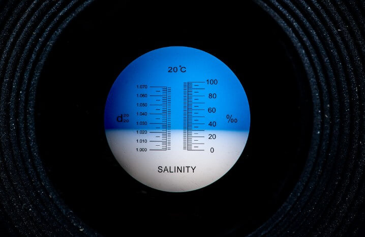 Снимок с рефрактометра. Слева шкала показателя преломления, справа шкала, показывающая содержание сахарозы (растворимых сухих веществ) в процентах. В данном случае содержание сахарозы 30%.