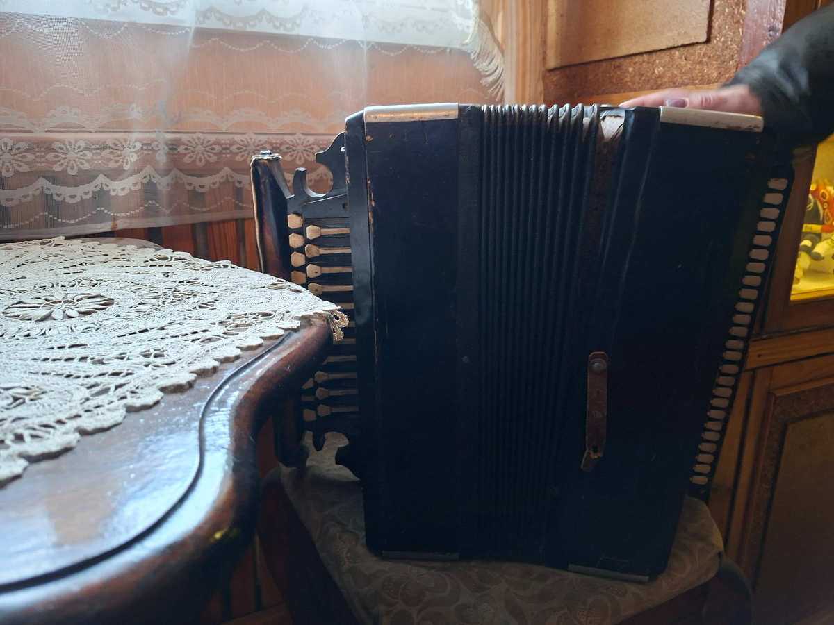 фото автора  елецка гармоника