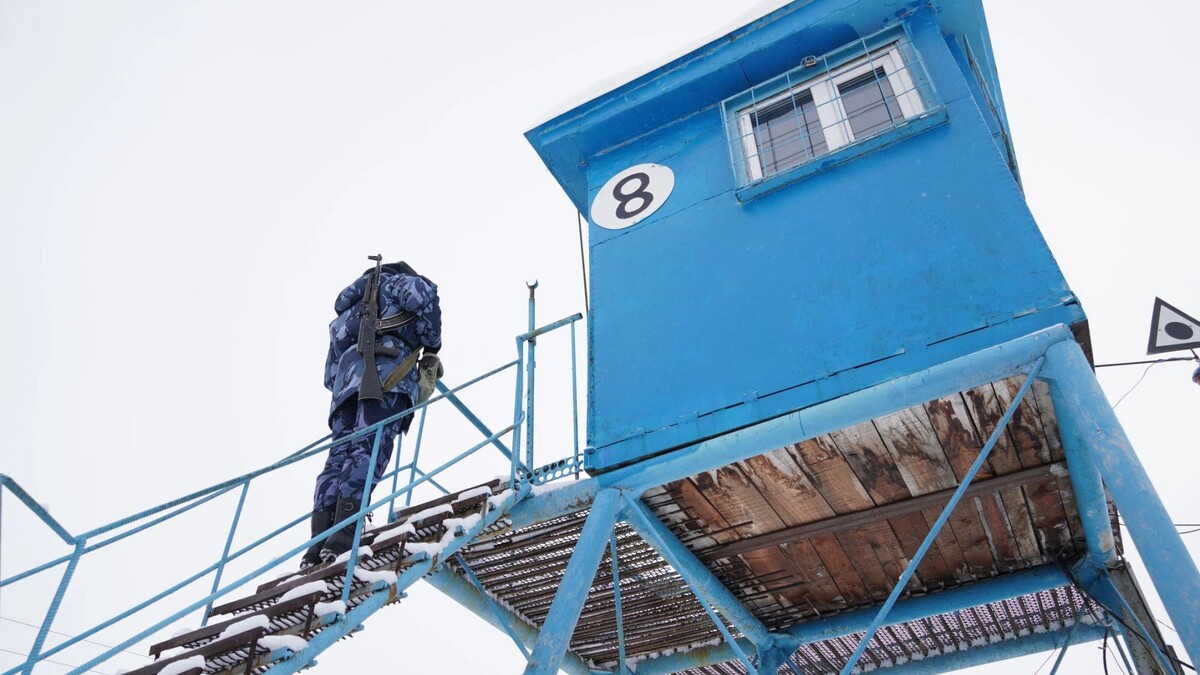    Фото: Юлия Чудинова/«Ямал-Медиа»