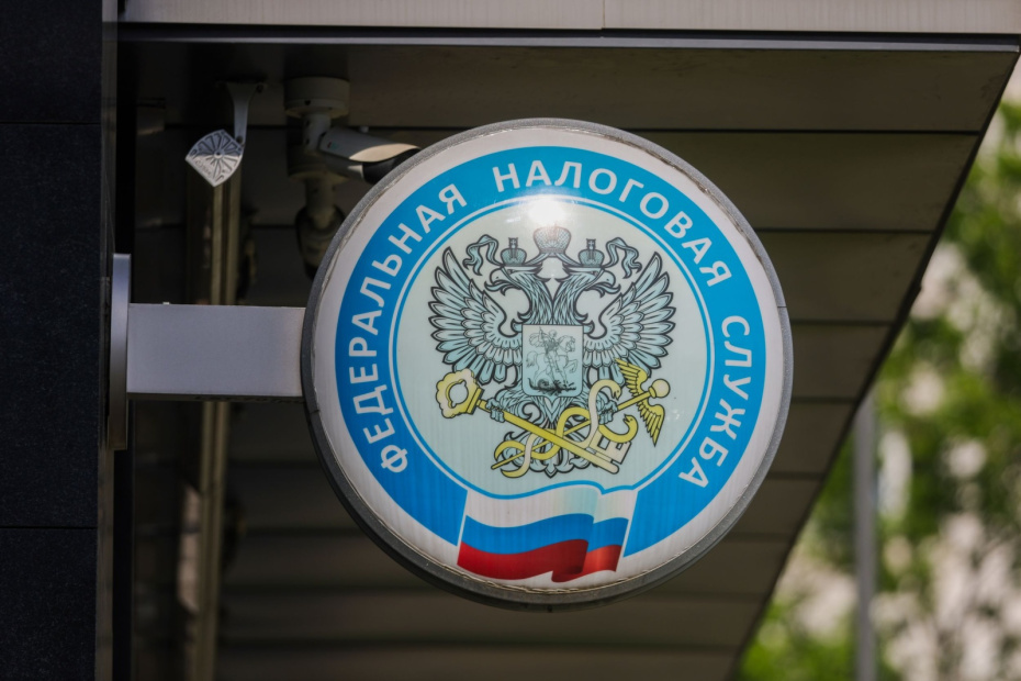    Наталья Шатохина/NEWS.ru