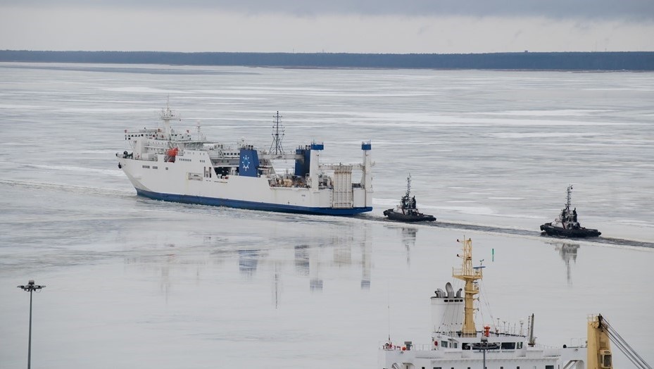    Автор фото: Сергей Ермохин / "ДП"
