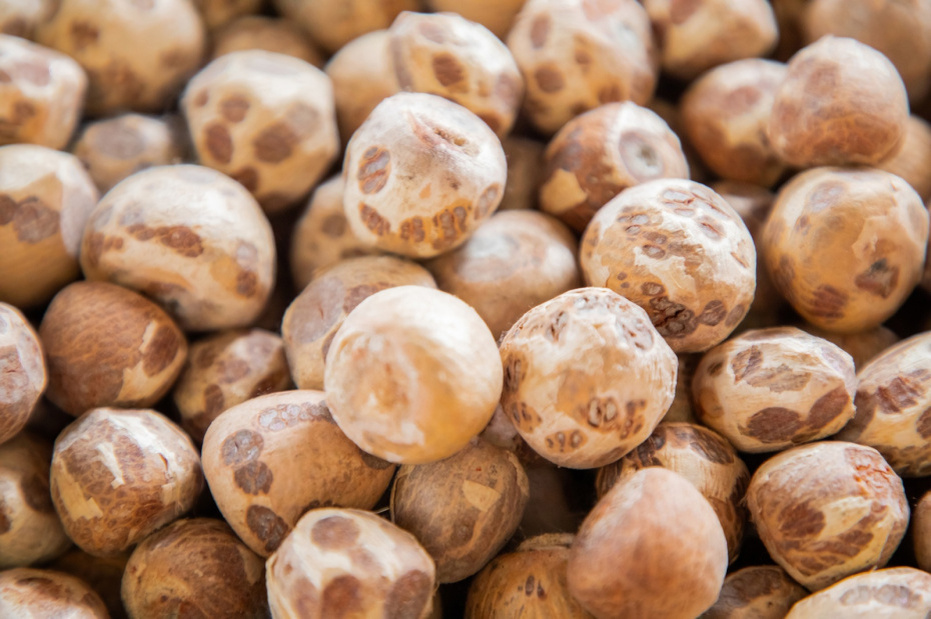    Shutterstock/FOTODOM