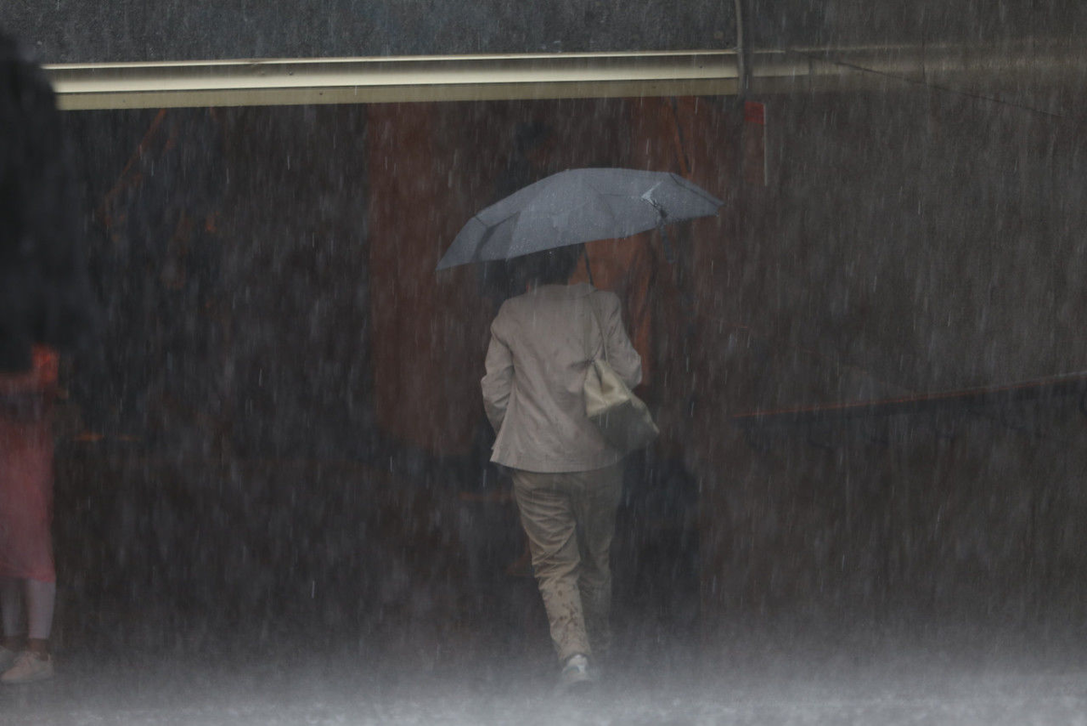Роман Пименов/ «Петербургский дневник»
