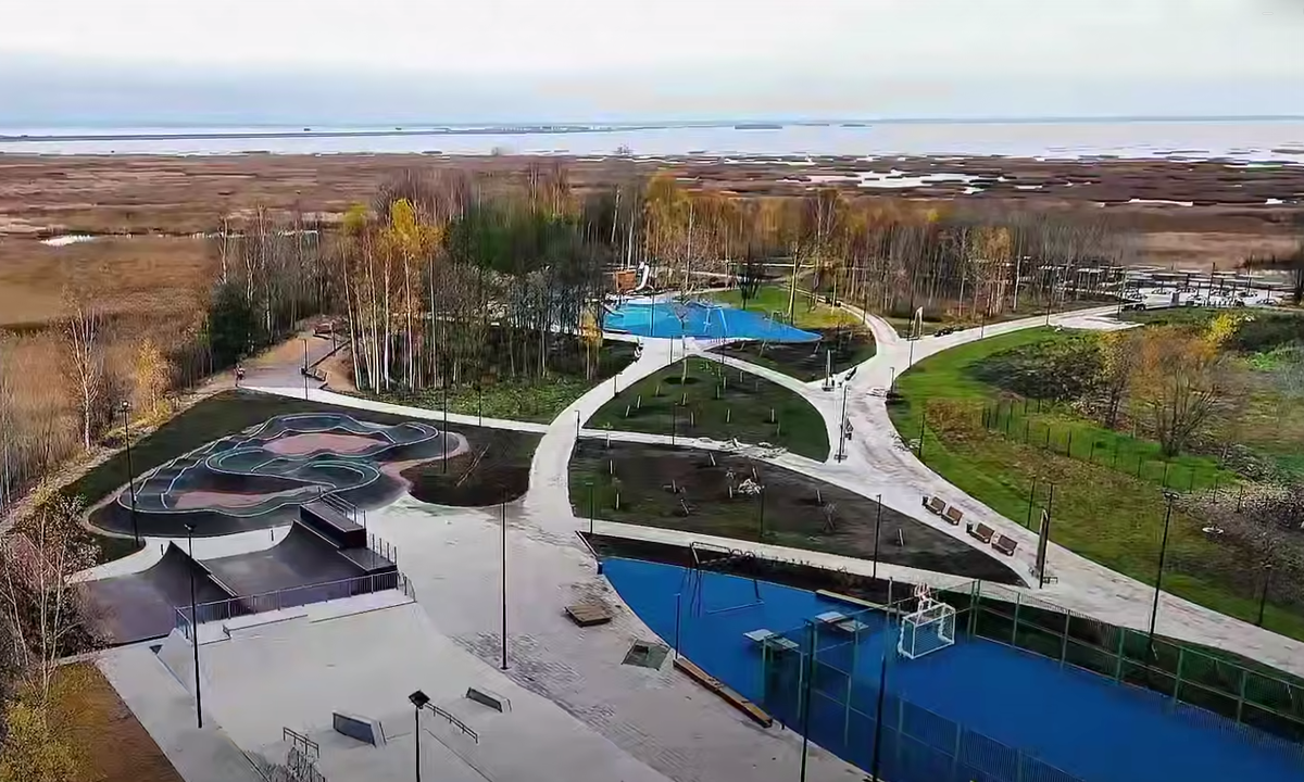 Фото: скриншот из видео
