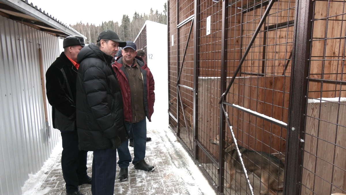    Депутат Владимир Сысоев проверил работу комплексного центра обслуживания животных в Ханты-Мансийске