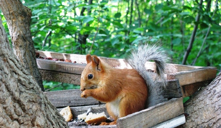 Палата номер....