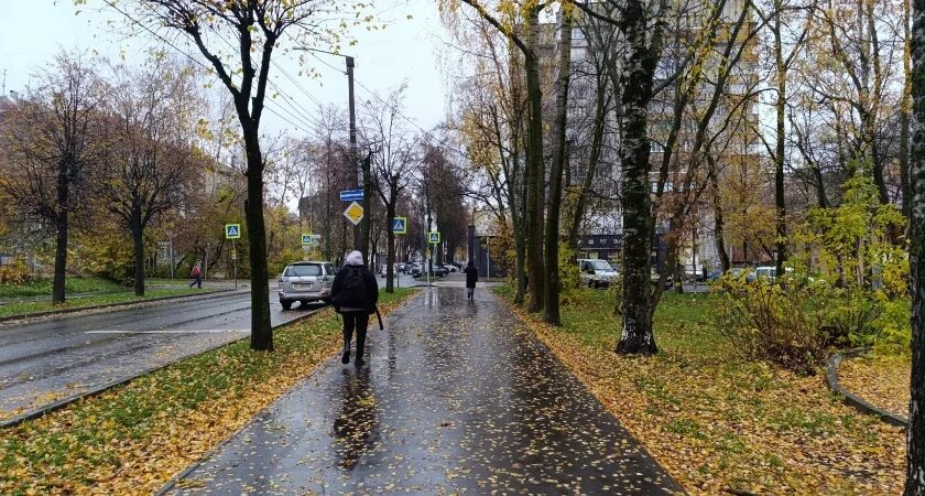    В Кирове ожидается дождь и сильный ветер