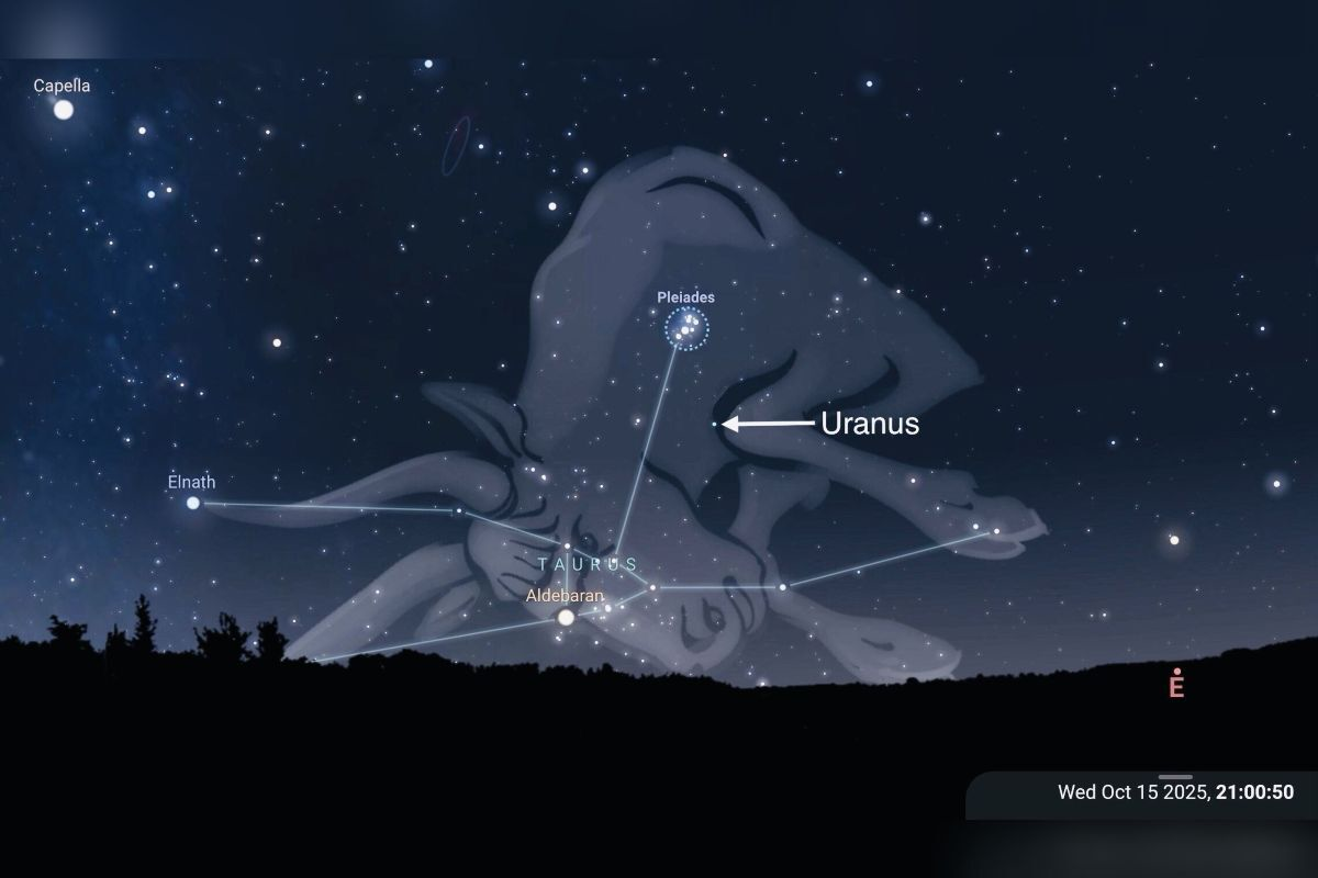 Созвездие Тельца со звёздным скоплением Плеяды и Ураном, видимое ночью 15 октября 2025 года