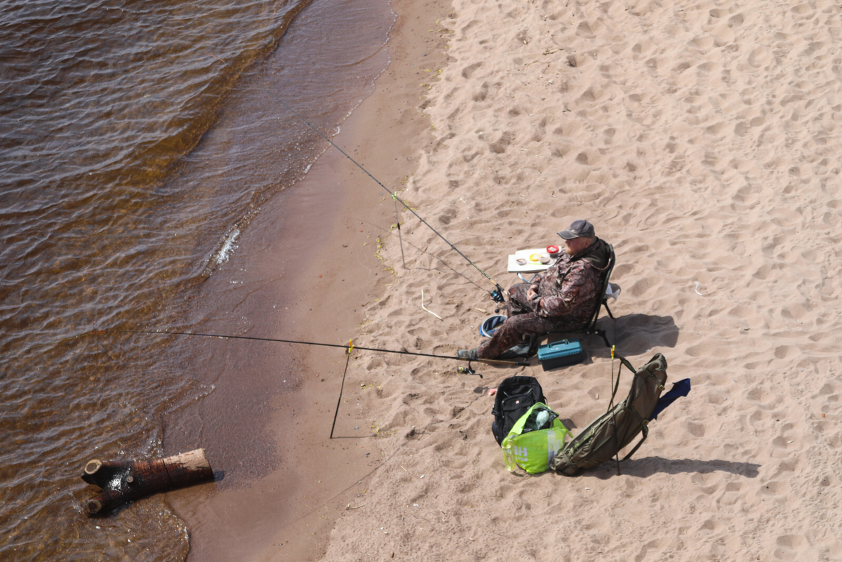 Фото: Роман Пименов / «Петербургский дневник»
